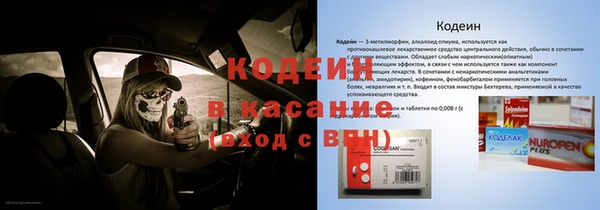 шишки Богородск