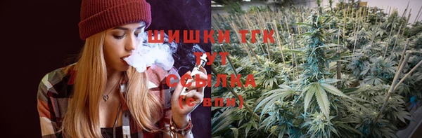 шишки Богородск