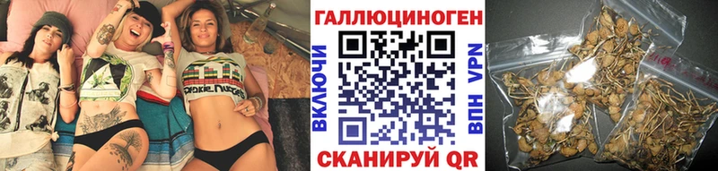 купить   блэк спрут зеркало  Псилоцибиновые грибы ЛСД  Копейск 